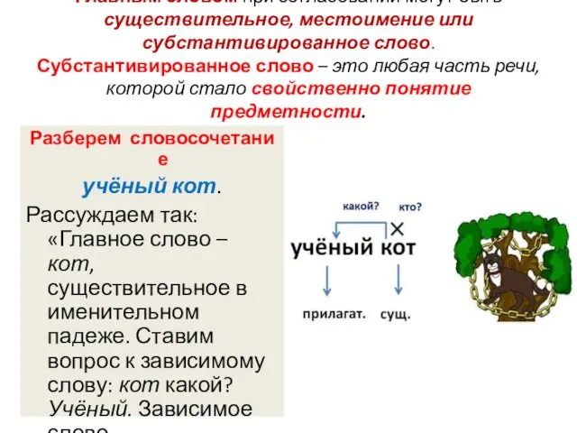 Главным словом при согласовании могут быть существительное, местоимение или субстантивированное слово.