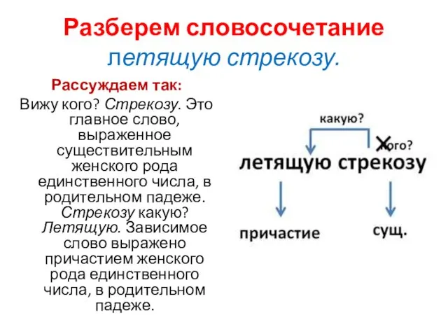 Разберем словосочетание летящую стрекозу. Рассуждаем так: Вижу кого? Стрекозу. Это главное