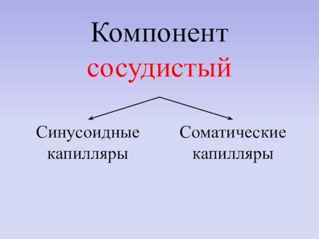 Компонент сосудистый