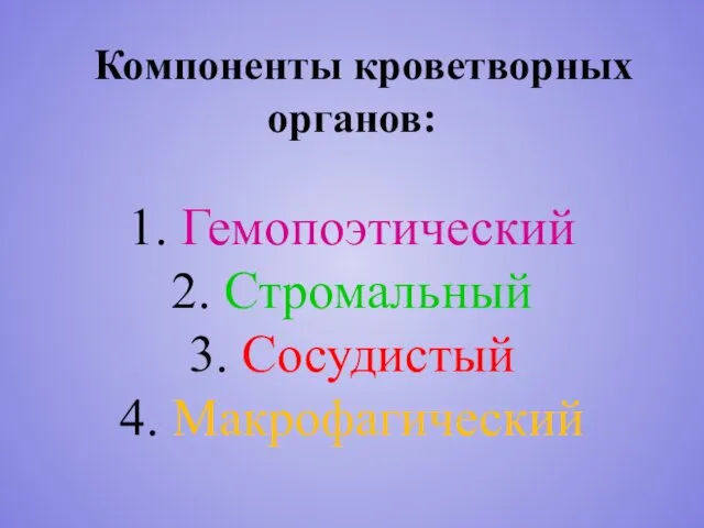 Компоненты кроветворных органов: 1. Гемопоэтический 2. Стромальный 3. Сосудистый 4. Макрофагический