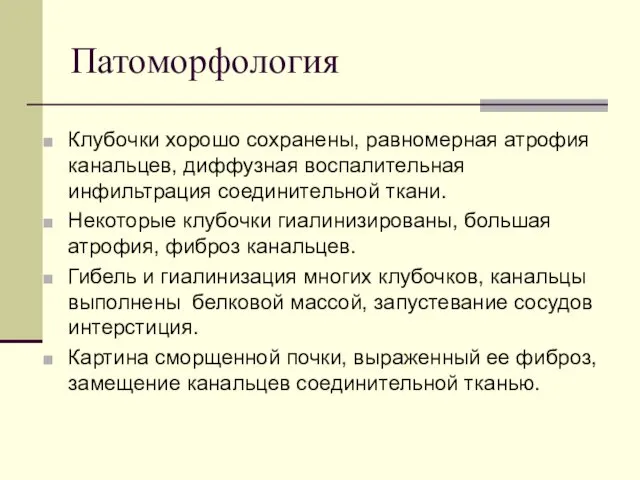 Патоморфология Клубочки хорошо сохранены, равномерная атрофия канальцев, диффузная воспалительная инфильтрация соединительной