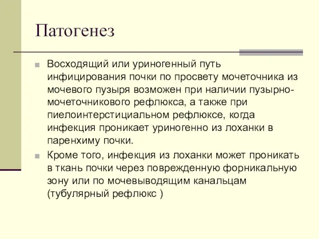 Патогенез Восходящий или уриногенный путь инфицирования почки по просвету мочеточника из