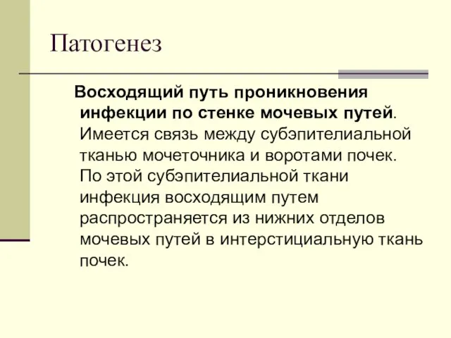 Патогенез Восходящий путь проникновения инфекции по стенке мочевых путей. Имеется связь