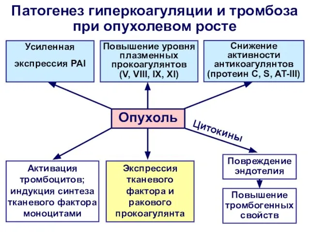 Патогенез гиперкоагуляции и тромбоза при опухолевом росте Опухоль Экспрессия тканевого фактора