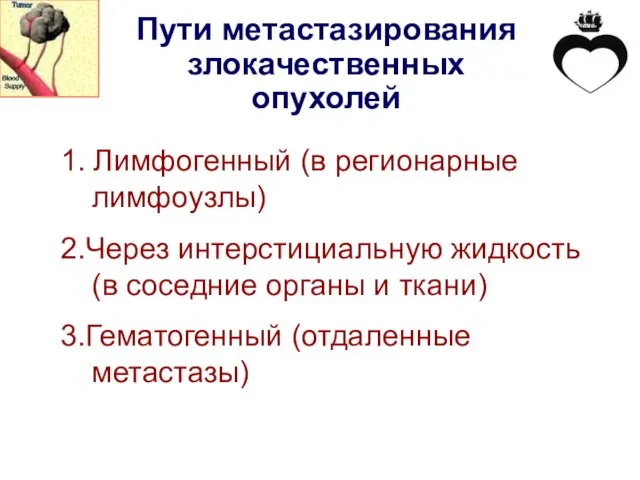 Пути метастазирования злокачественных опухолей 1. Лимфогенный (в регионарные лимфоузлы) 2.Через интерстициальную