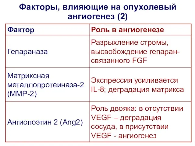 Факторы, влияющие на опухолевый ангиогенез (2)