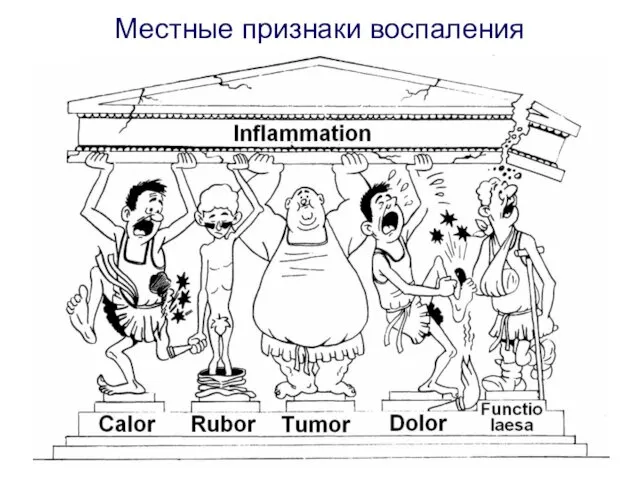 Местные признаки воспаления