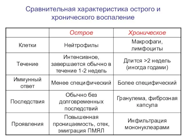 Сравнительная характеристика острого и хронического воспаление