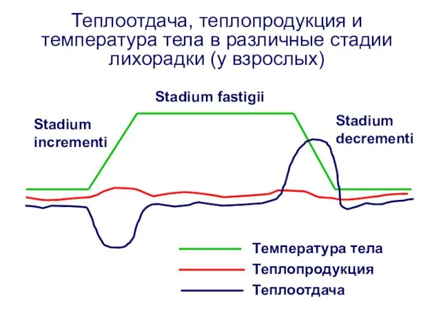 Теплоотдача, теплопродукция и температура тела в различные стадии лихорадки (у взрослых)