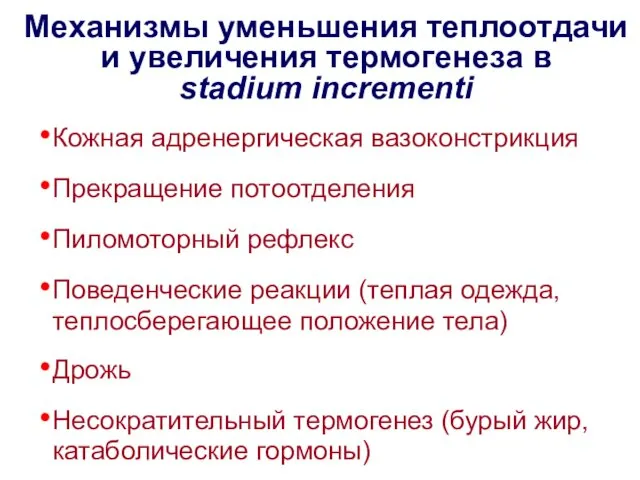 Механизмы уменьшения теплоотдачи и увеличения термогенеза в stadium incrementi Кожная адренергическая