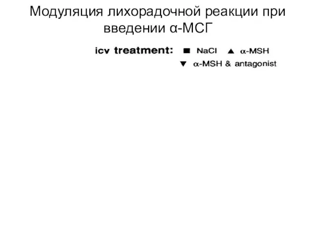 Модуляция лихорадочной реакции при введении α-МСГ