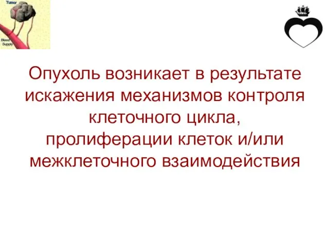 Опухоль возникает в результате искажения механизмов контроля клеточного цикла, пролиферации клеток и/или межклеточного взаимодействия