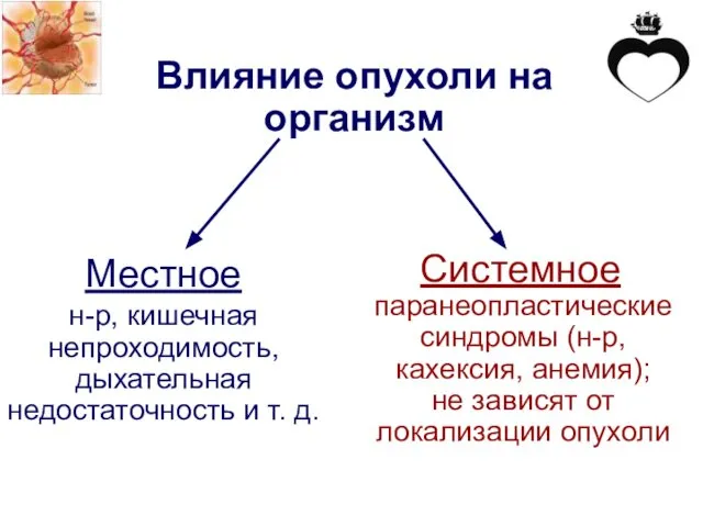 н-р, кишечная непроходимость, дыхательная недостаточность и т. д. Влияние опухоли на