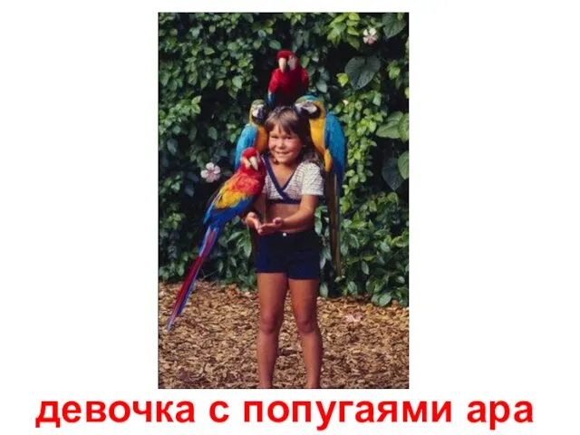 девочка с попугаями ара