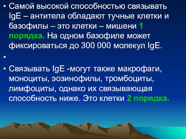 Самой высокой способностью связывать IgЕ – антитела обладают тучные клетки и