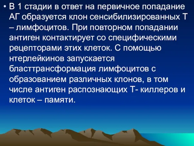 В 1 стадии в ответ на первичное попадание АГ образуется клон