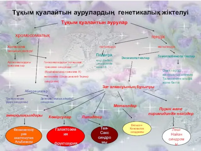 Тұқым қуалайтын аурулардың генетикалық жіктелуі Тұқым қуалайтын аурулар хромосомалық гендік Хромосома