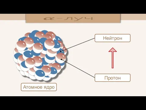 Атомное ядро Нейтрон Протон