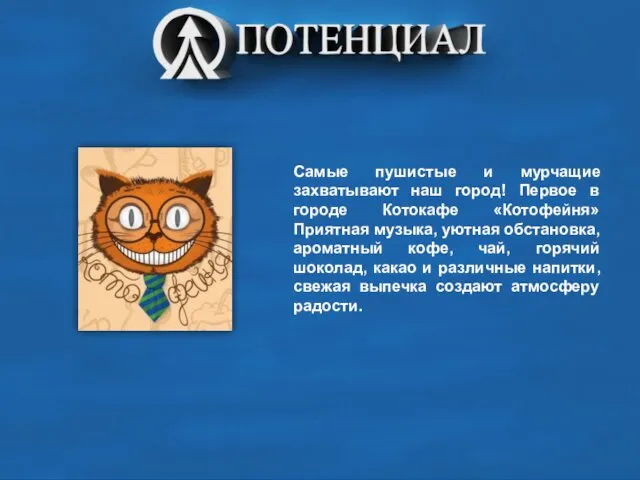 Самые пушистые и мурчащие захватывают наш город! Первое в городе Котокафе