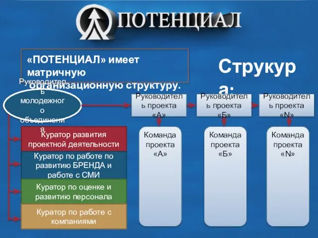 Струкура: Куратор развития проектной деятельности Куратор по работе по развитию БРЕНДА