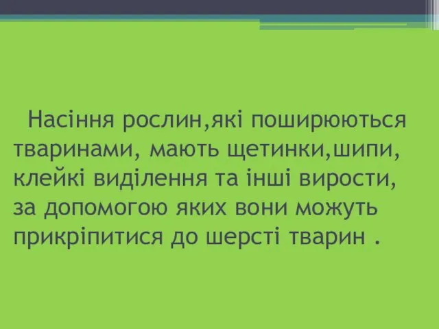 Насіння рослин,які поширюються тваринами, мають щетинки,шипи, клейкі виділення та інші вирости,