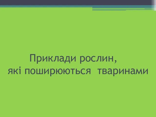 Приклади рослин, які поширюються тваринами