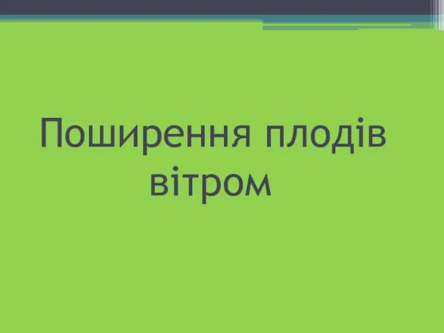 Поширення плодів вітром