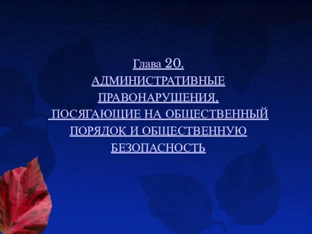 Глава 20. АДМИНИСТРАТИВНЫЕ ПРАВОНАРУШЕНИЯ, ПОСЯГАЮЩИЕ НА ОБЩЕСТВЕННЫЙ ПОРЯДОК И ОБЩЕСТВЕННУЮ БЕЗОПАСНОСТЬ