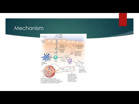 Mechanism