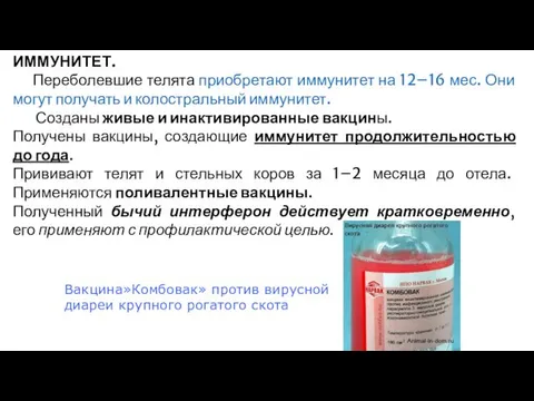 ИММУНИТЕТ. Переболевшие телята приобретают иммунитет на 12–16 мес. Они могут получать