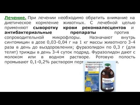 Лечение. При лечении необходимо обратить внимание на диетическое кормление животных. С