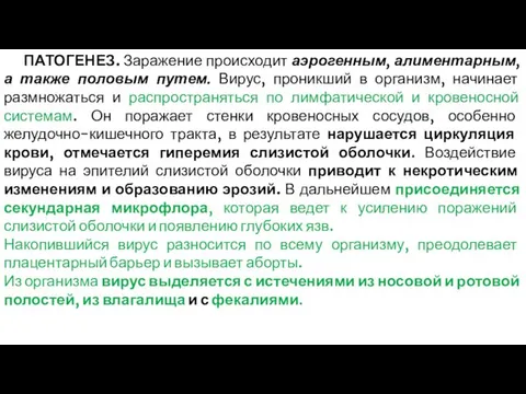 ПАТОГЕНЕЗ. Заражение происходит аэрогенным, алиментарным, а также половым путем. Вирус, проникший