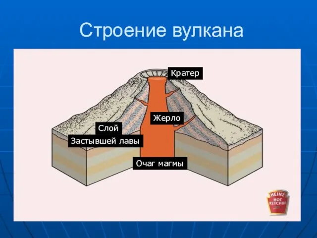 Строение вулкана Очаг магмы Кратер Жерло Слой Застывшей лавы