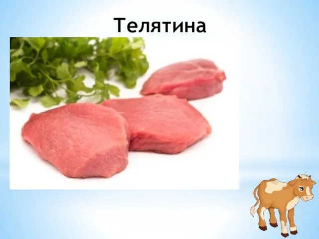 Телятина