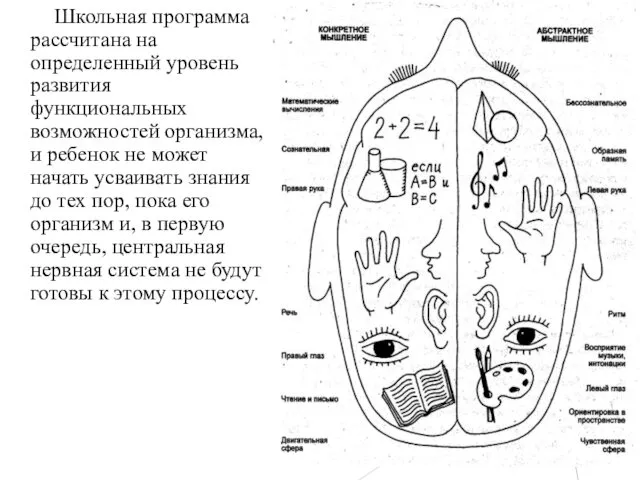 Школьная программа рассчитана на определенный уровень развития функциональных возможностей организма, и