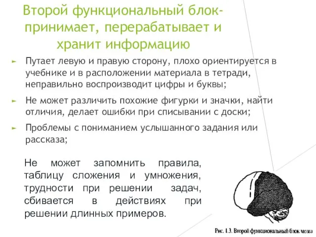 Второй функциональный блок-принимает, перерабатывает и хранит информацию Путает левую и правую