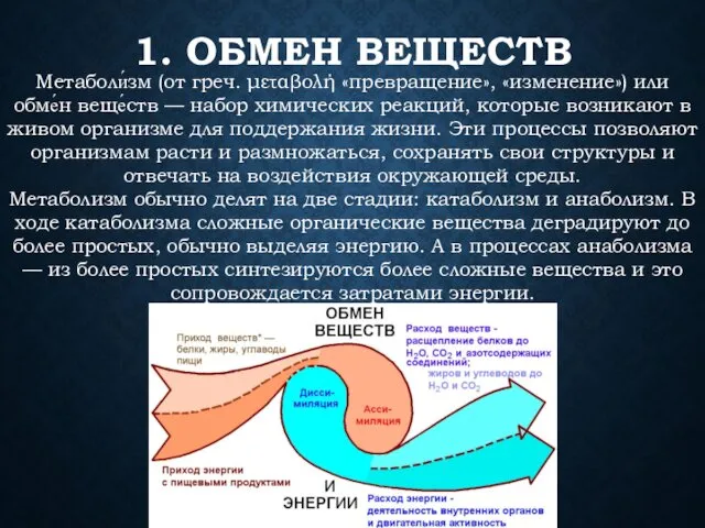 1. ОБМЕН ВЕЩЕСТВ Метаболи́зм (от греч. μεταβολή «превращение», «изменение») или обме́н