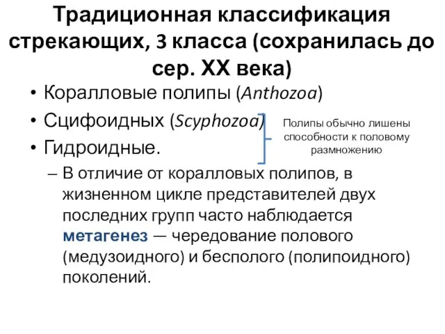 Традиционная классификация стрекающих, 3 класса (сохранилась до сер. ХХ века) Коралловые