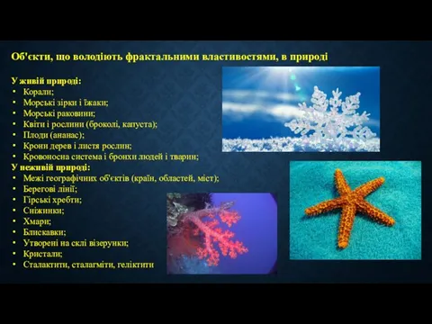 Об'єкти, що володіють фрактальними властивостями, в природі У живій природі: Корали;
