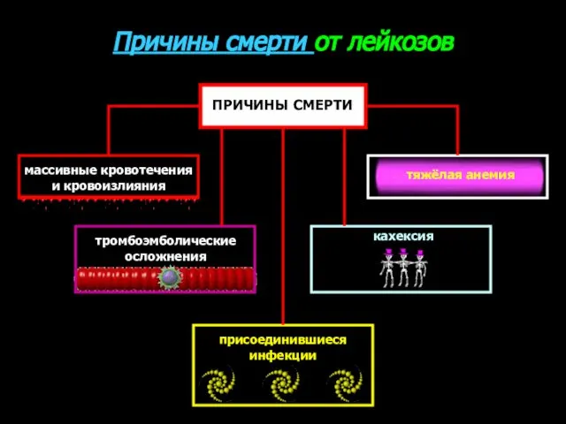 Причины смерти от лейкозов ПРИЧИНЫ СМЕРТИ массивные кровотечения и кровоизлияния тромбоэмболические