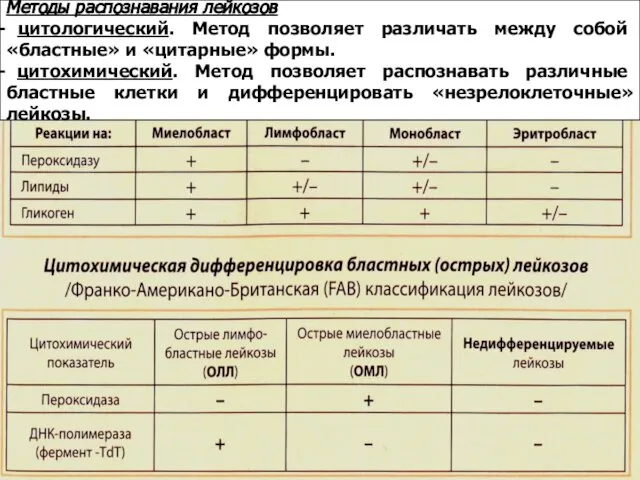 Методы распознавания лейкозов цитологический. Метод позволяет различать между собой «бластные» и