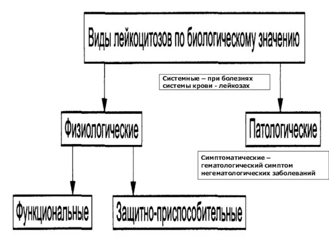 Симптоматические – гематологический симптом негематологических заболеваний Системные – при болезнях системы крови - лейкозах