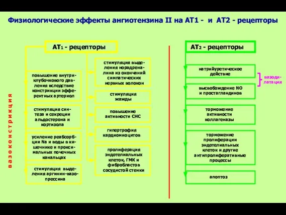 Физиологические эффекты ангиотензина II на АТ1 - и АТ2 - рецепторы