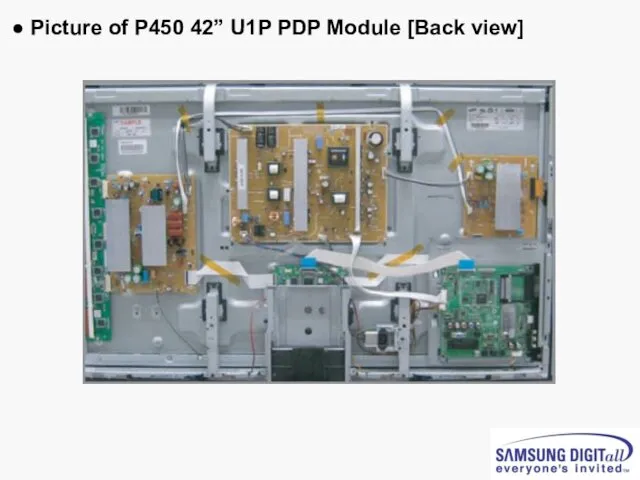 ● Picture of P450 42” U1P PDP Module [Back view]