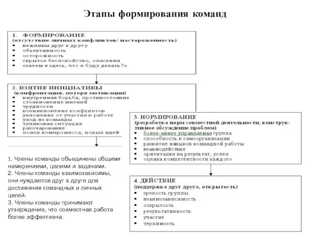 Этапы формирования команд 1. Члены команды объединены общими намерениями, целями и