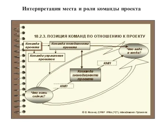 Интерпретация места и роли команды проекта