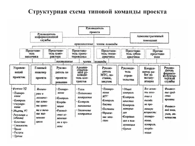 Структурная схема типовой команды проекта