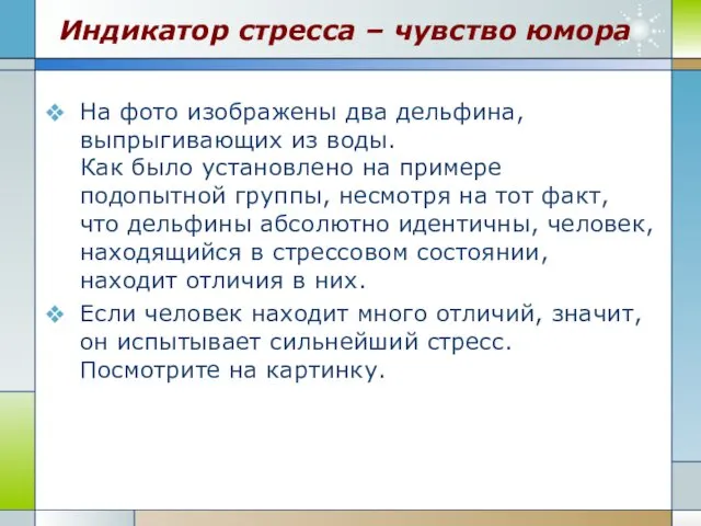 Индикатор стресса – чувство юмора На фото изображены два дельфина, выпрыгивающих