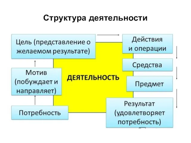 Структура деятельности