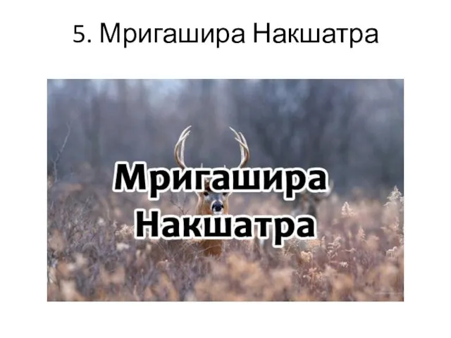 5. Мригашира Накшатра